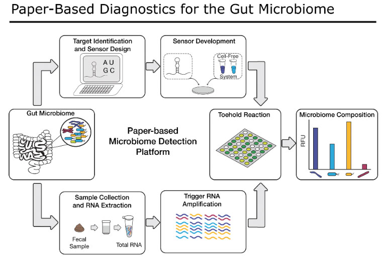 Collins Project Slide 1: Paper-Based Diagnostics for the Gut Microbiome